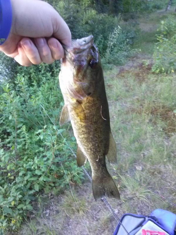 smallmouth