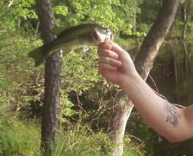 First Largemouth of 2013