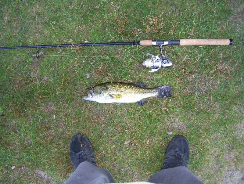 8/22/08 - Dudley Pond - Wayland, MA