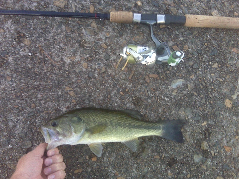 10/13/10 - Lake Cochituate